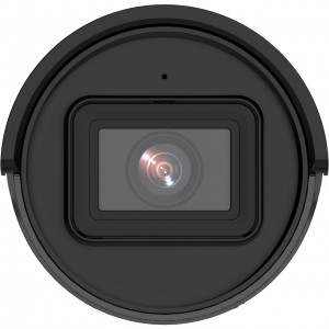 IP видеокамера Hikvision DS-2CD2043G2-IU black
