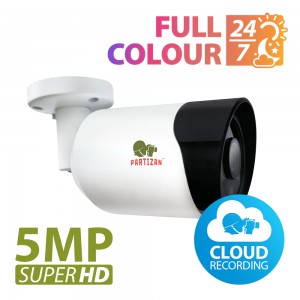 IP видеокамера Partizan IPO-5SP Full Colour 1.1 Cloud